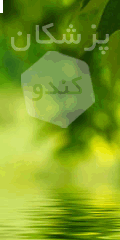  گروه پزشکان کندو