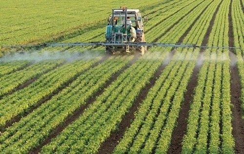 ترديد كشورهای عربی در خريد محصولات كشاورزی از ايران