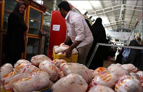 کاهش قیمت گوشت مرغ در بازار تهران