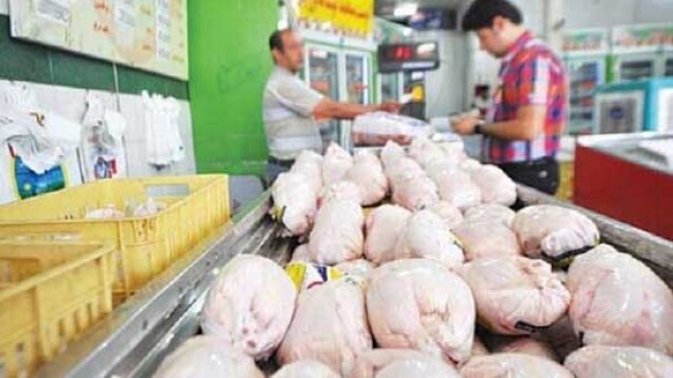 فراخوان تولید گوشت مرغ