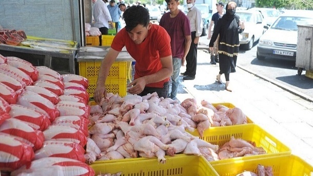 تنظیم بازار مرغ برای تعطیلات نوروز