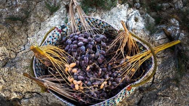 ایران سومین کشور تولید کننده خرما در جهان