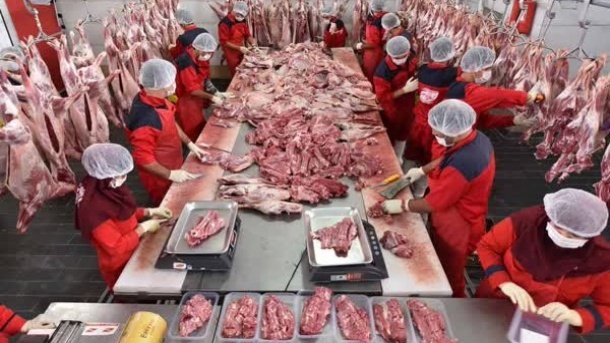 عرضه گوشت گرم 310 هزار تومانی در فروشگاه‌های زنجیره‌ای