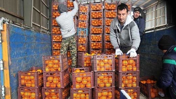 عرضه میوه تنظیم بازاری شب عید به زودی در سراسر کشور