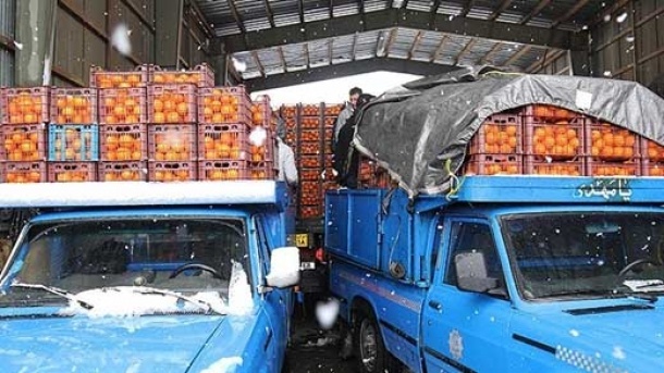 توزیع تنظیم بازار میوه شب عید از 22 اسفند ماه