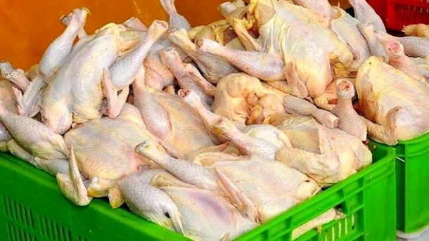 کاهش محسوس قیمت مرغ در بازار