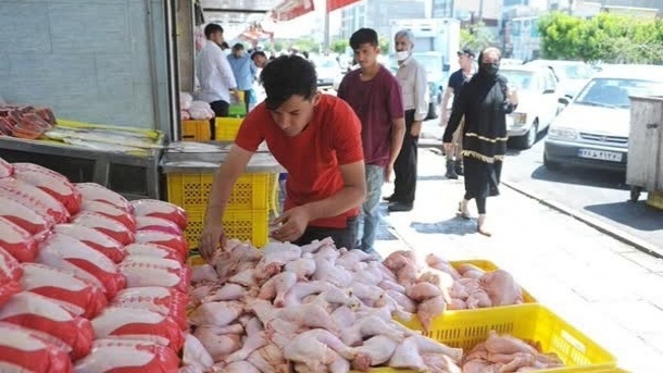 قیمت روز گوشت مرغ 1402/12/20