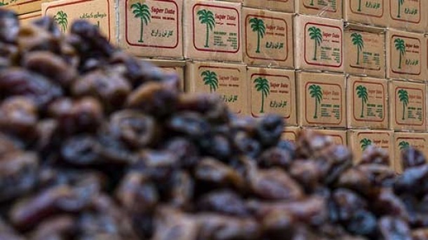 خرمای تنظیم بازاری عرضه شد