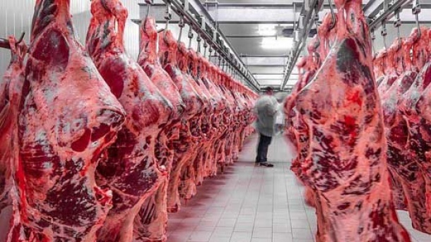 تخمین قیمت گوشت در سال آینده