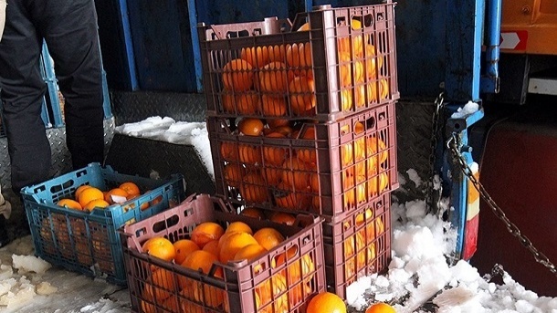 میوه شب عید امسال نرخ مصوب ندارد