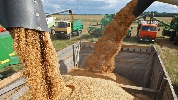 جنگ تجاری روسیه و اروپا به بخش غلات رسید