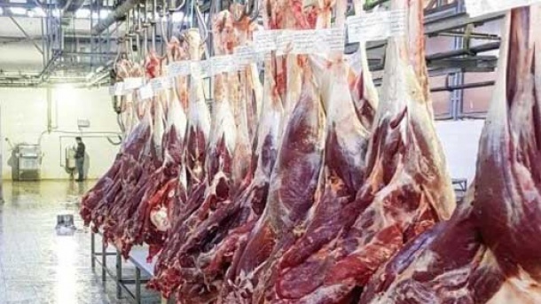 قیمت گوشت شتر در بازار چند؟