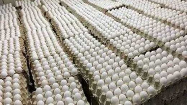 آخرین قیمت تخم مرغ در بازار