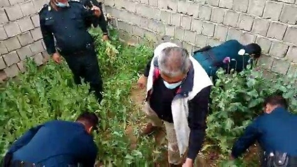 حمله مسلحانه به فرمانده انتظامی کوهدشت حین عملیات امحای مزارع خشخاش