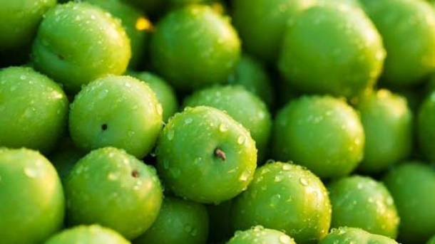 گوجه سبز کیلویی ۳ میلیون و ۸۵۰هزار تومان!