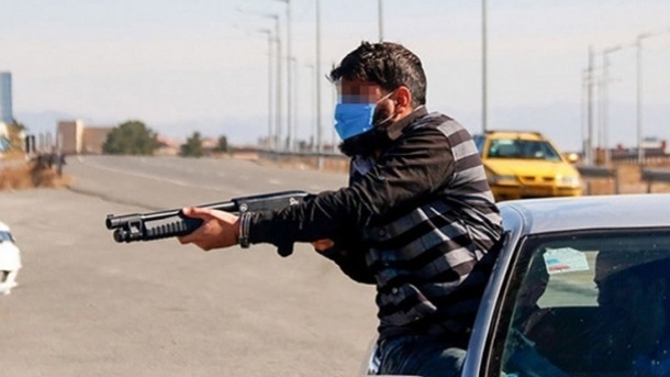 2 قتل مسلحانه برای کشتن سگ گله !