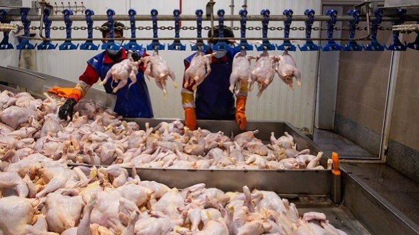 قیمت روز گوشت مرغ 1403/02/01