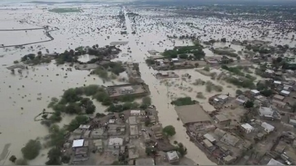 سیل روی سیل