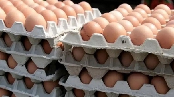 قیمت روز تخم مرغ 1403/02/12