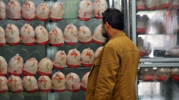 آشفتگی در انتظار بازار مرغ