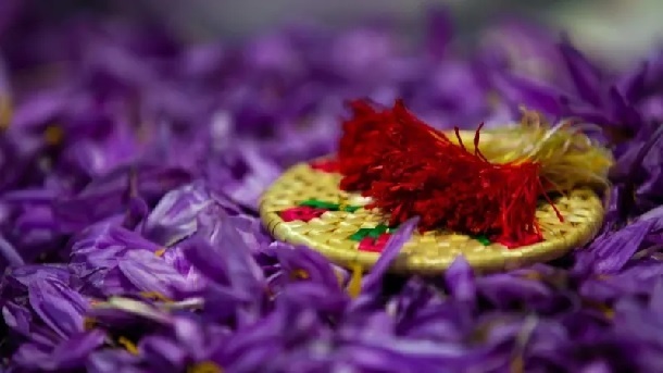 زعفران؛ طلای سرخ ایران، به کام دیگران