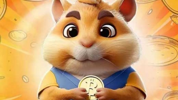 همستر را فقط یک سرگرمی ببینید