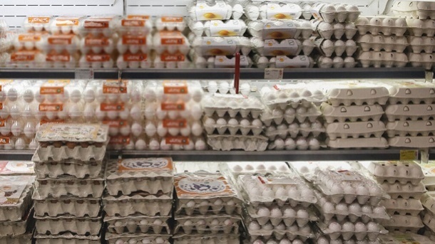 جدیدترین قیمت تخم مرغ بسته بندی در بازار