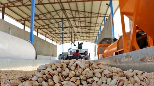 صادرات پسته آمریکایی با برچسب ایرانی