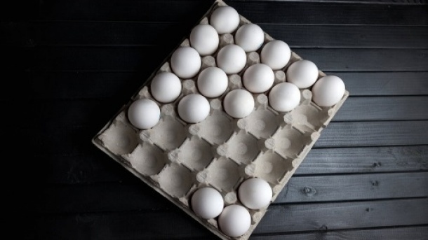 قیمت جدید تخم مرغ اعلام شد 1403/04/09