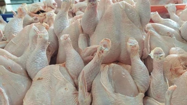 قیمت روز گوشت مرغ 1403/04/21