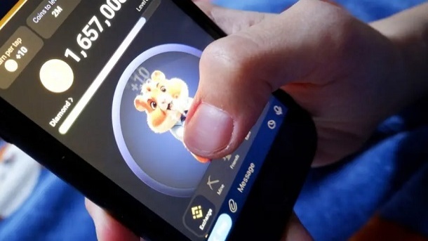 قیمت همستر کامبت 1403/04/23