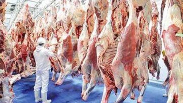قیمت گوشت قرمز در بازار امروز