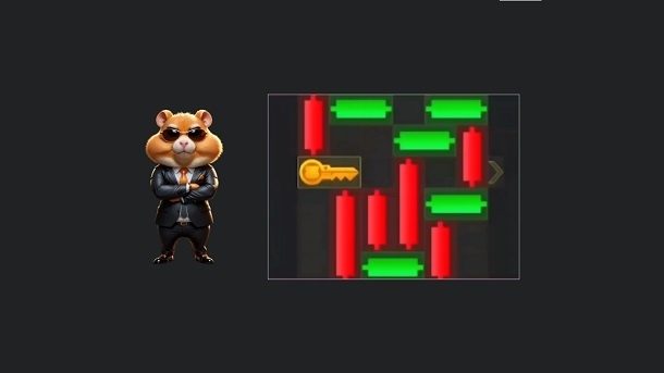 مینی گیم همستر کامبت