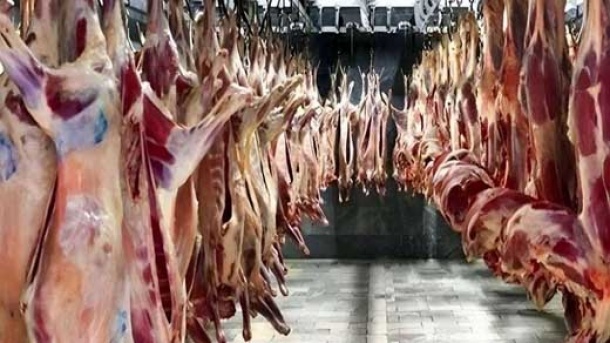 قیمت گوشت متعادل سازی می شود