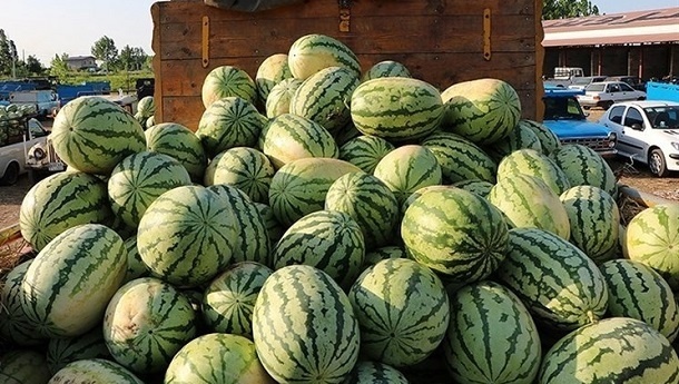 آبیاری هندوانه‌های ایرانی با فاضلاب تکذیب شد