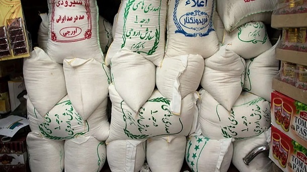 قیمت روز برنج ایرانی در بازار 1403/07/11