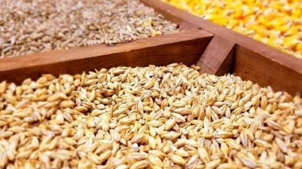 نرخ خرید تضمینی جو اعلام شد