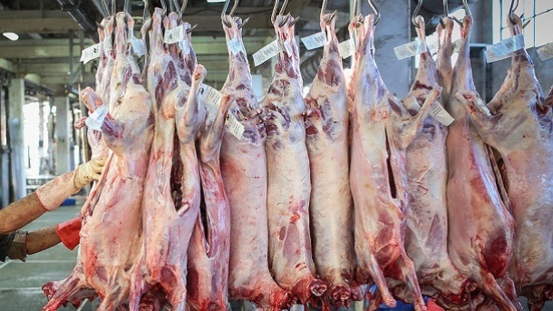 تاثیر واردات گوشت بر بازار