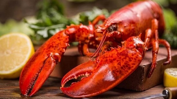 غذاهای حرام گوشت در منو رستورانهای تهران