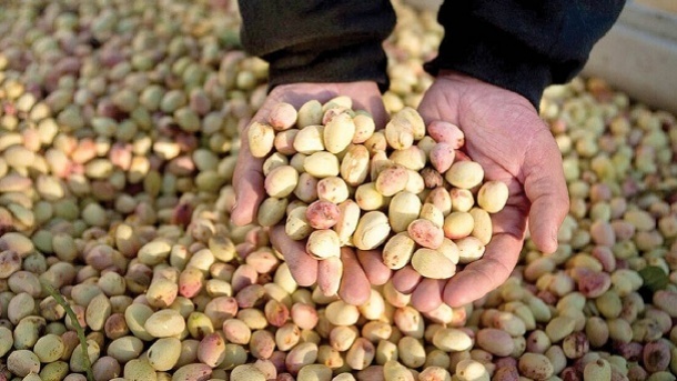 صادرات پسته ایرانی به خط‌ پایان رسید