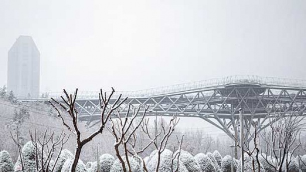 تهران سفید پوش می شود