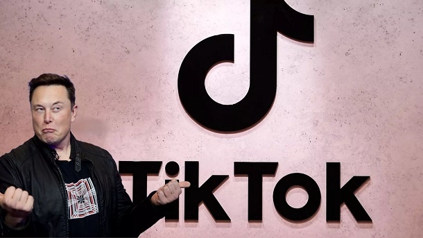 ایلان ماسک در حال مذاکره برای خرید تیکتاک است