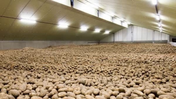 ماجرای انبارهای پر سیب‌ زمینی در فضای مجازی