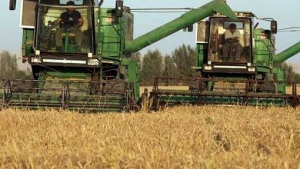 کشف دو پرونده فساد در گندم و آرد