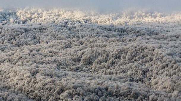 برف یک متری در جنگلهای هیرکانی