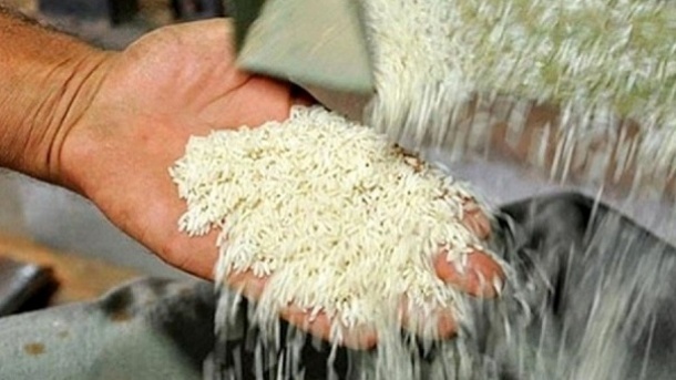 ورود مجلس به موضوع کمبود برنج
