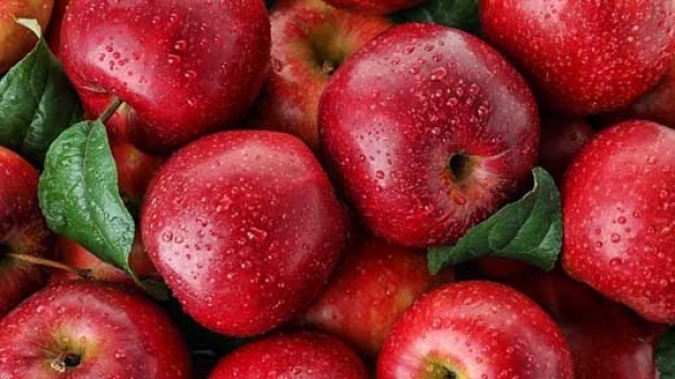 ممنوعیت 2 ماهه صادرات سیب ، پرتقال و خرما