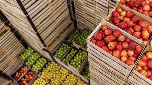 قیمت میوه شب عید در استان تهران اعلام شد