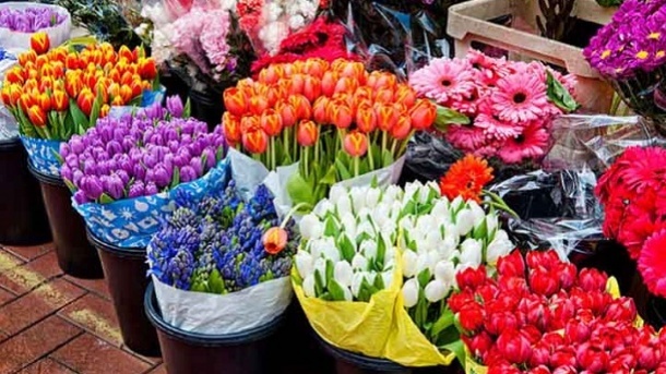 نرخ جدید گلهای بهاره اعلام شد