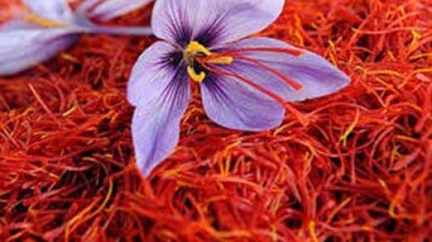 قیمت جدید زعفران در بازار
